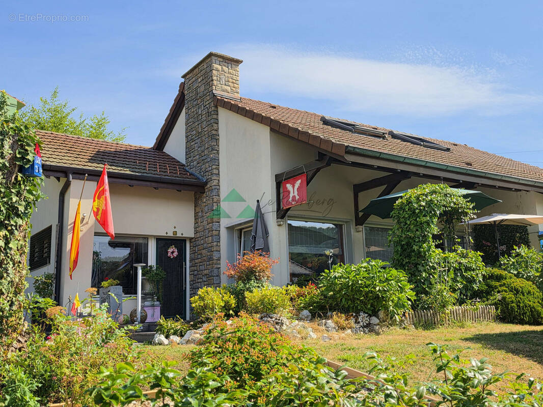 Maison à FERRETTE