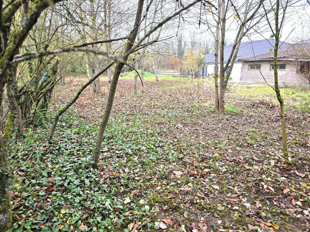 Terrain à DIEULOUARD