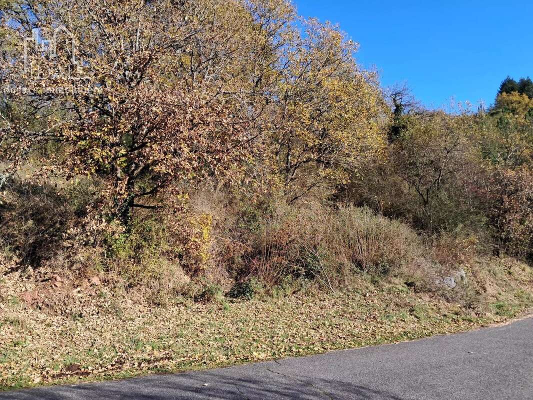 Terrain à LA CANOURGUE