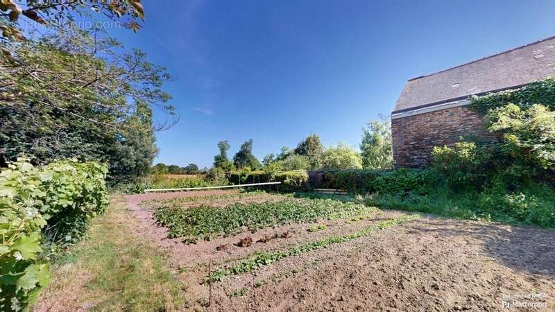 Maison à SAINT-MARS-LA-JAILLE