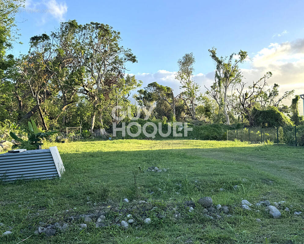 Terrain à LE TAMPON