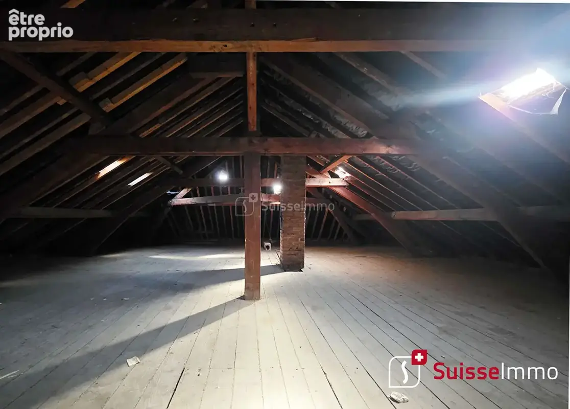 Immeuble L Isle Sur Le Doubs 692 m2 - photo 15