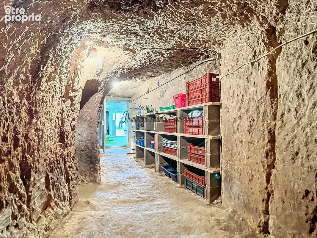 COUTURE SUR LOIR (dpt 41),Maison à vendre 85m²- 4 pièces-dépendance-garage-caves - terrain 2372m² - photo 14