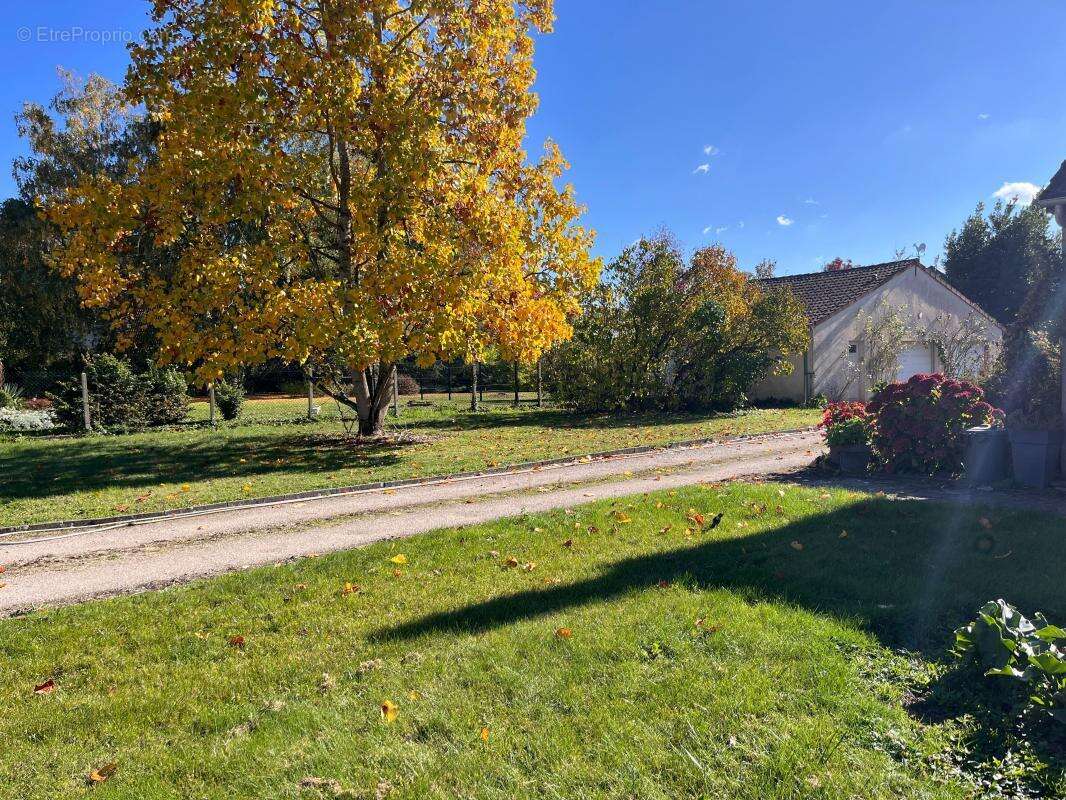 Maison à SAINT-JEAN-LE-BLANC