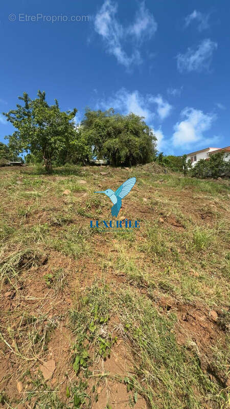 Terrain à LE FRANCOIS