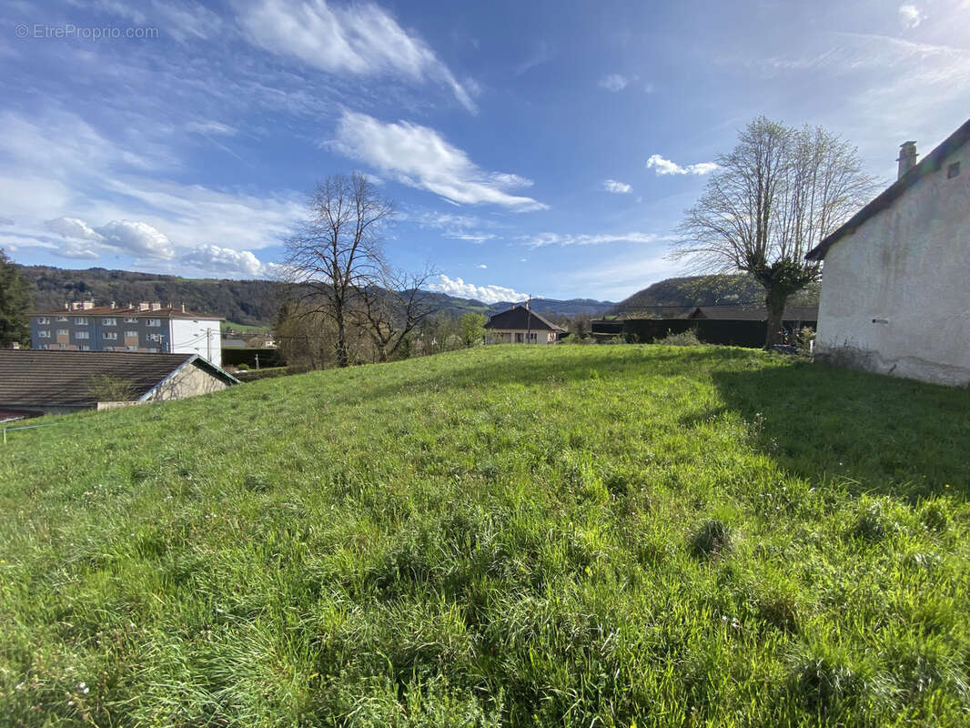 Terrain à SAINT-GEOIRE-EN-VALDAINE