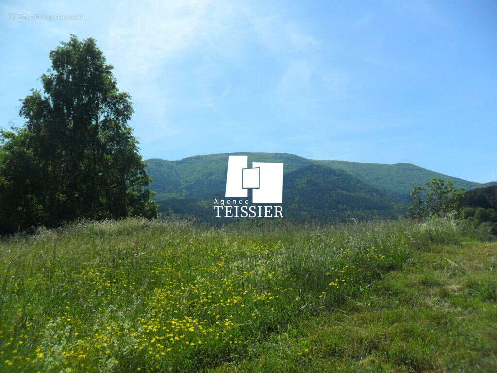 Mas Cévenol avec une vue dégagée et près de 3 hectares de te - photo 18