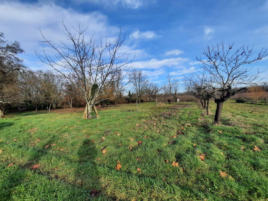 Autre à SAUVETERRE-DE-GUYENNE