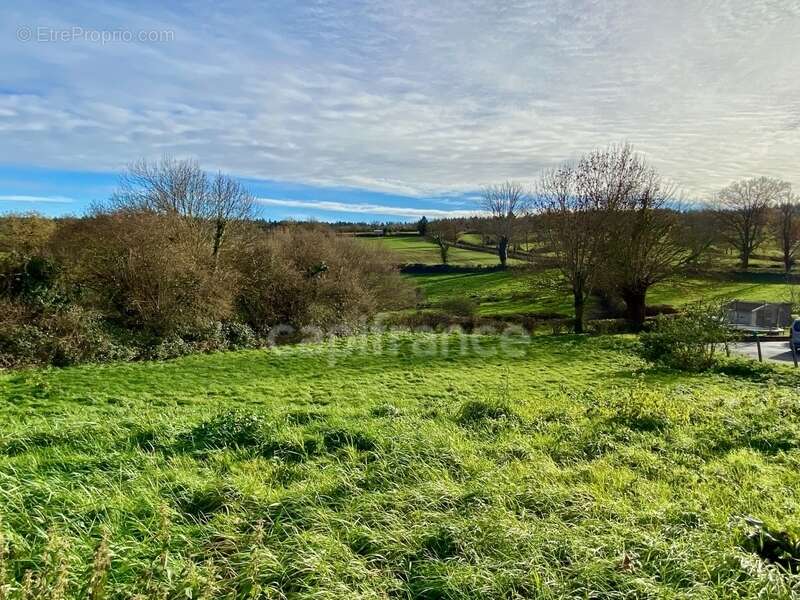 Terrain à QUINSSAINES