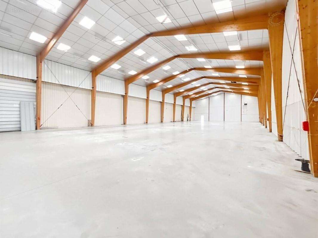 Local d'activité - Le Neubourg / Elbeuf - 1540m² - photo 3