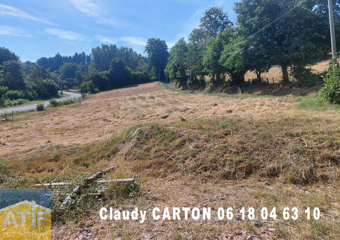 Terrain à NOIRETABLE