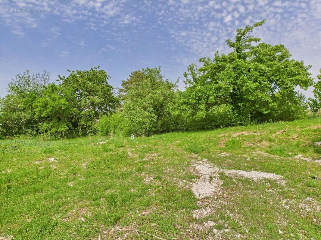 Terrain à NOGENT-SUR-SEINE