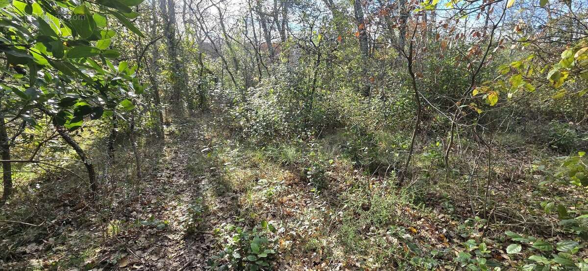 Terrain à SAINT-QUENTIN-LA-POTERIE