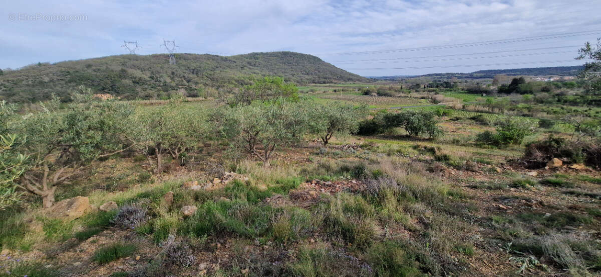Terrain à FONTES