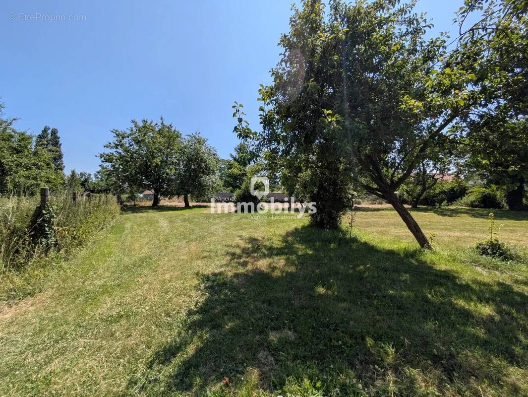 Terrain à SARS-ET-ROSIERES