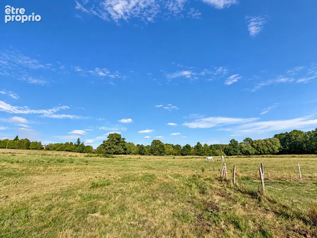 Périphérie d'alençon - propriete sur 6 hectares 2 maisons - photo 5