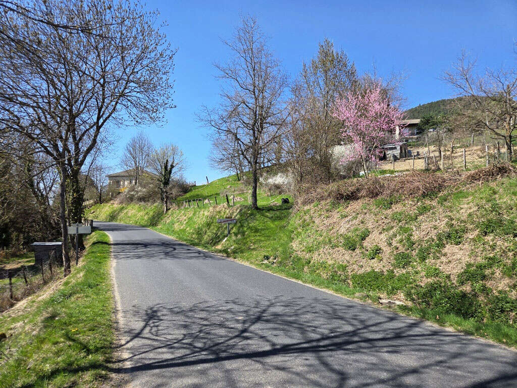 Terrain à SAINT-HOSTIEN