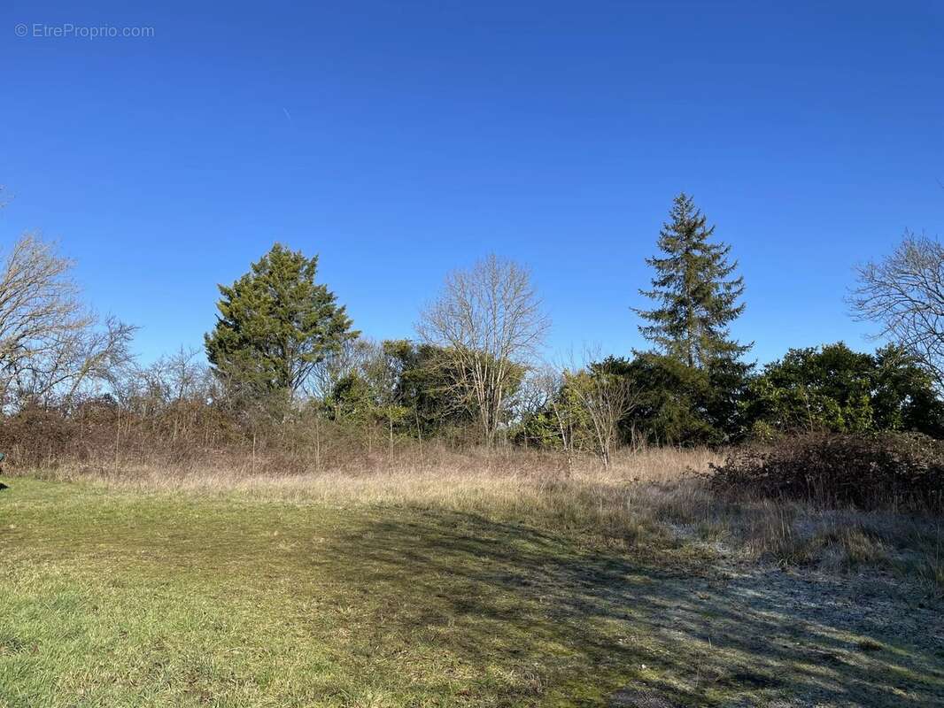 Terrain à VERTEILLAC