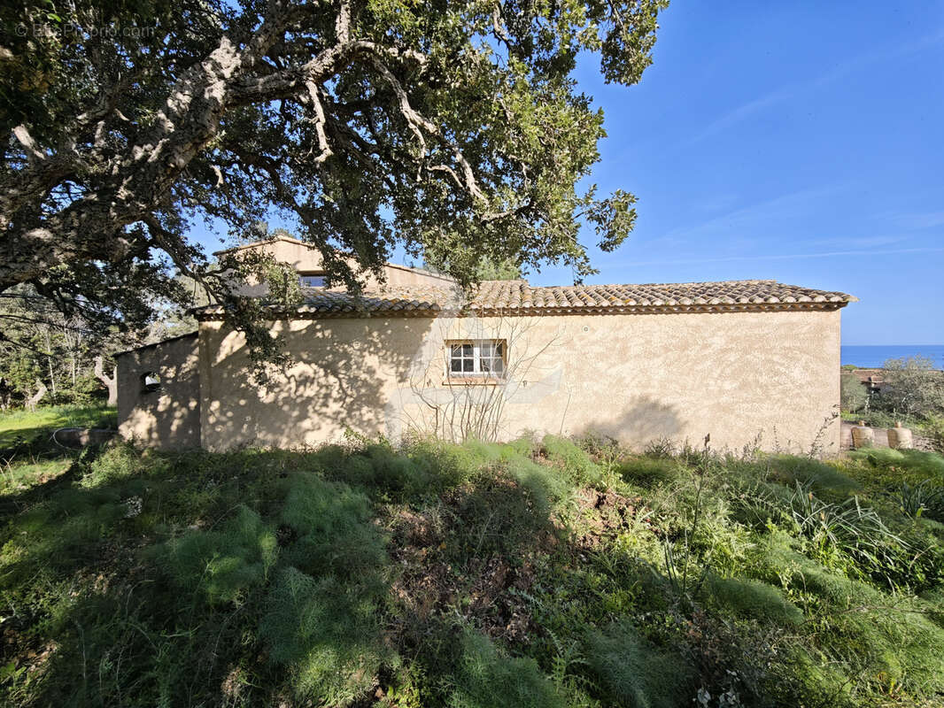 Maison à ZONZA