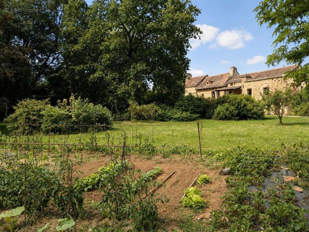 Maison 215 m² à Saint-Projet  - photo 2