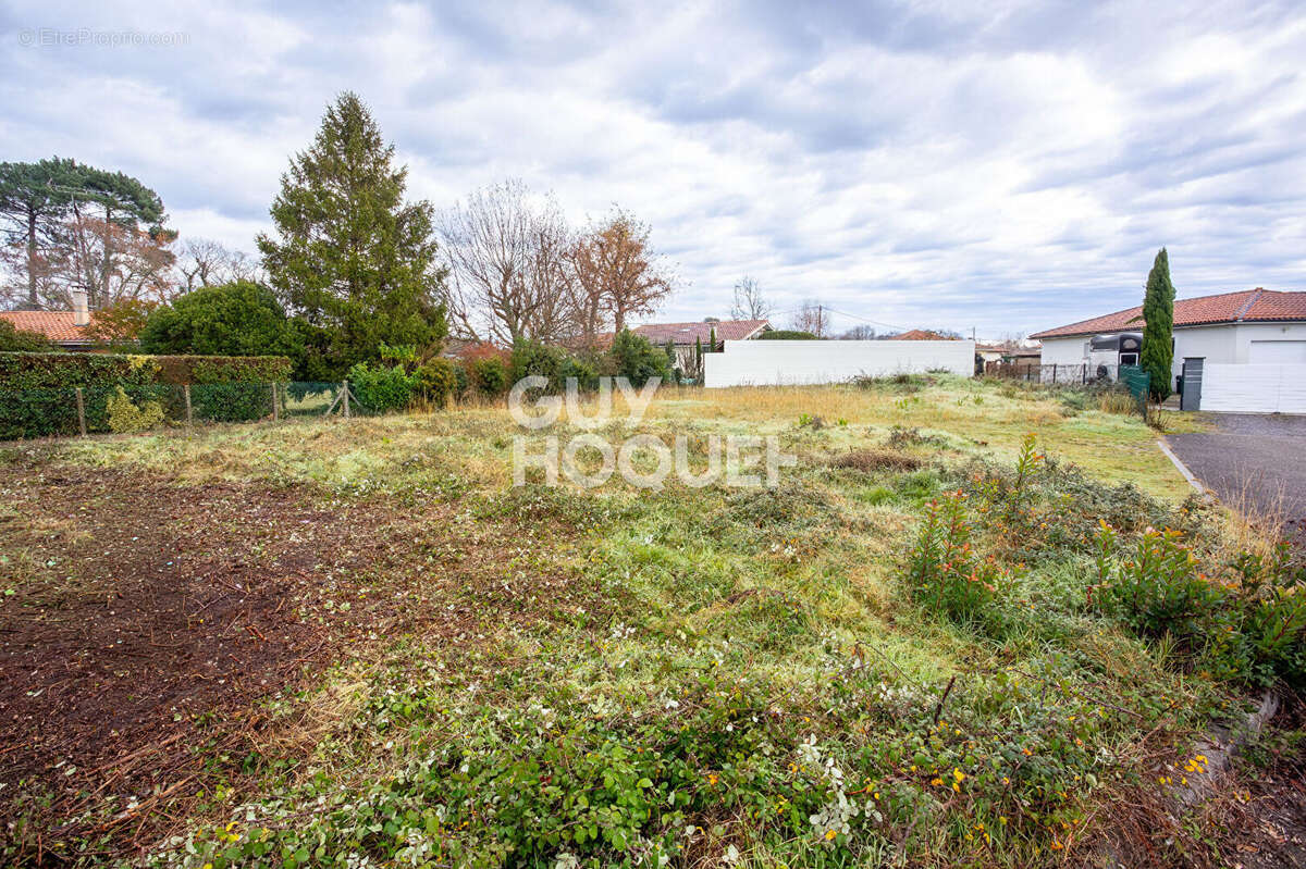 Terrain à BISCARROSSE