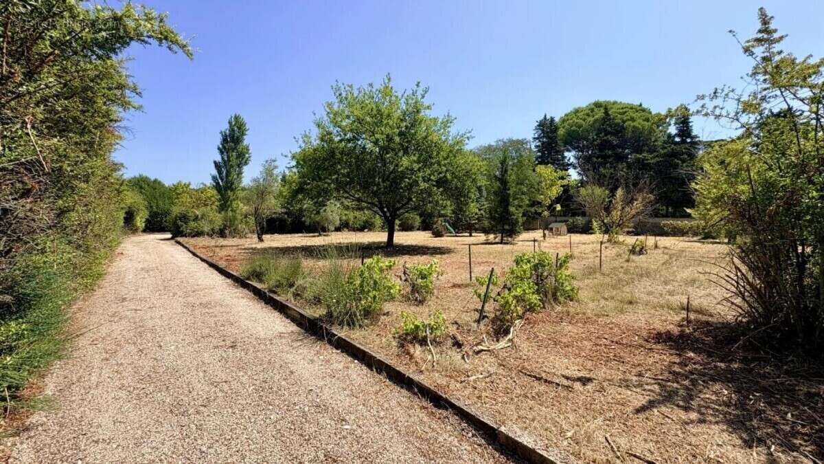 Maison de caratère avec grand jardin entre Carpentras et St - photo 5