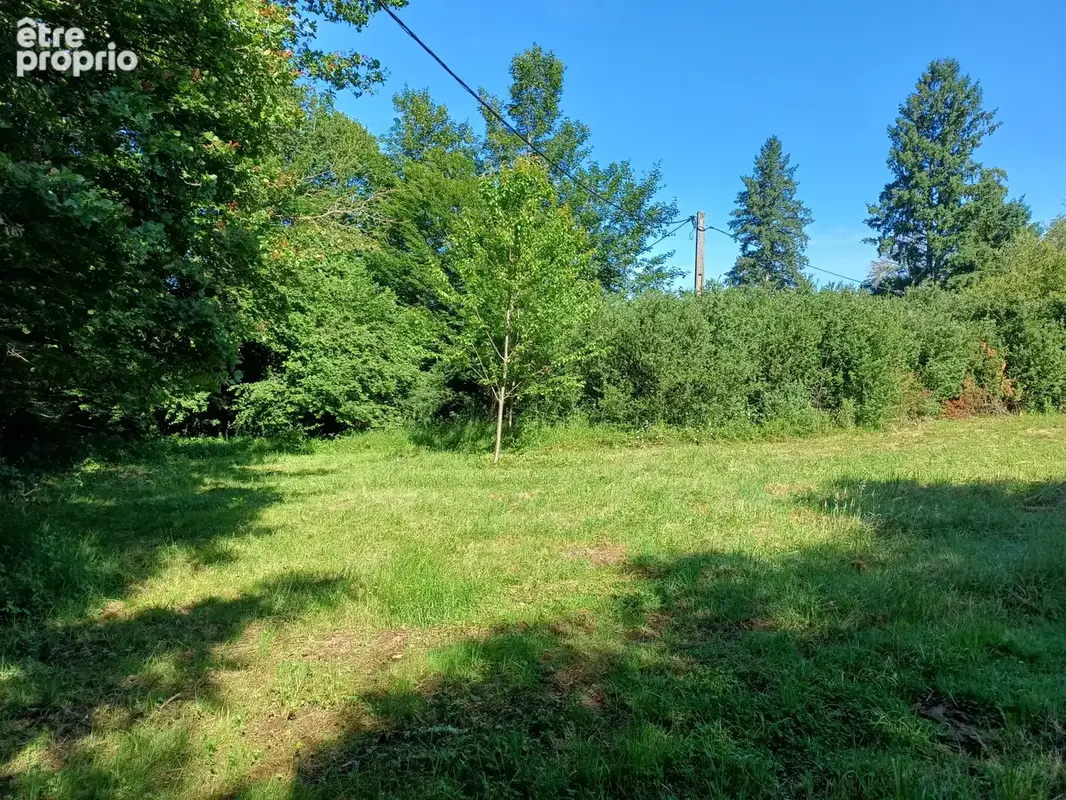 Terrain avec CU prêt à bâtir sur Argentat ! - photo 3