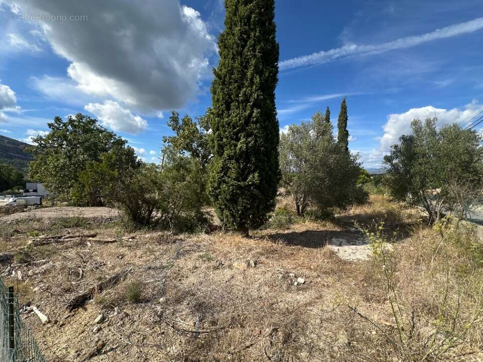 Terrain à ROQUEBRUNE-SUR-ARGENS