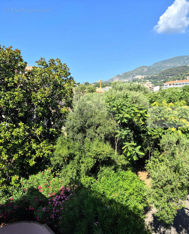 Appartement à ROQUEBRUNE-CAP-MARTIN