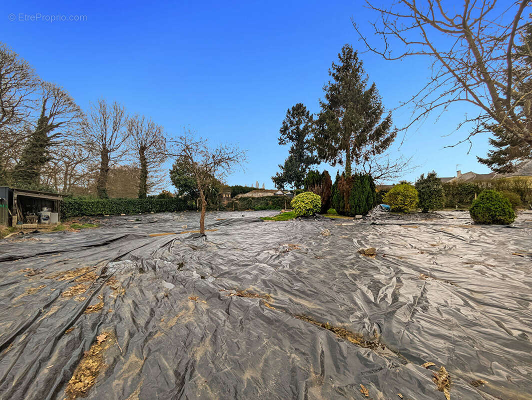 Terrain à SAINT-DOMINEUC