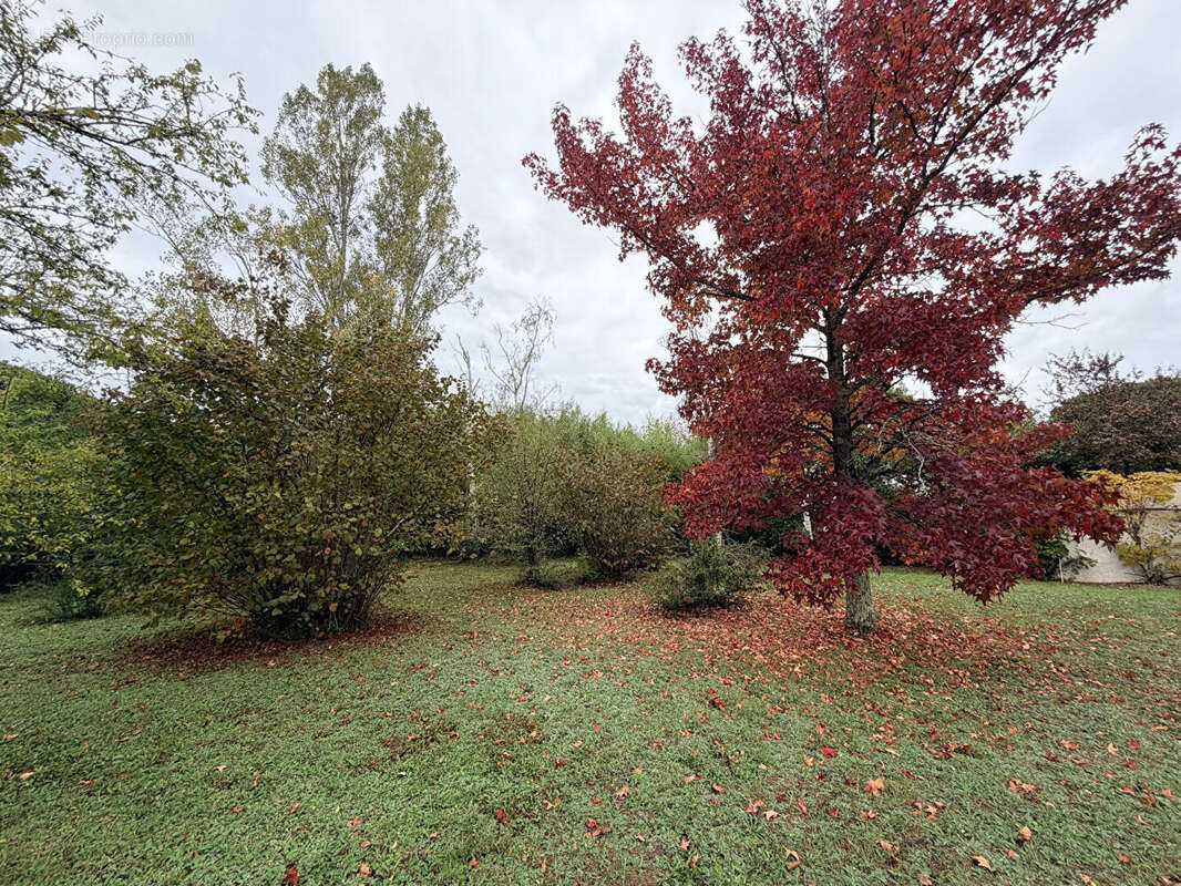 Terrain à PECHBUSQUE