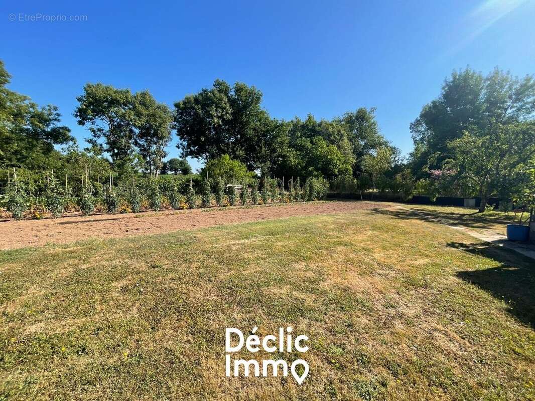 Terrain à LE CHAMP-SAINT-PERE