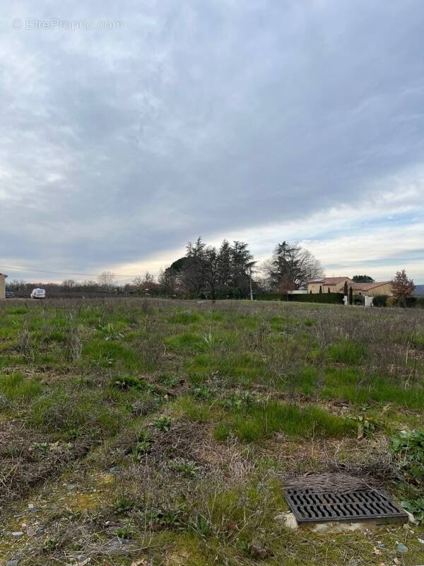 Terrain à MONTANS