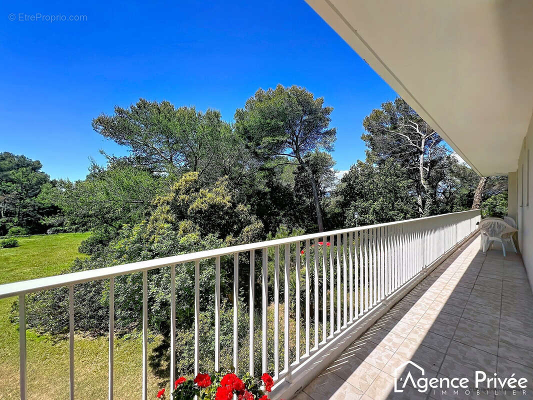 Vue terrasse sud