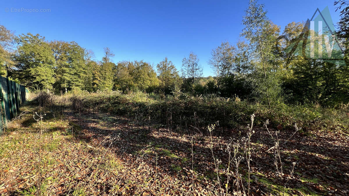 Terrain à CHEROY