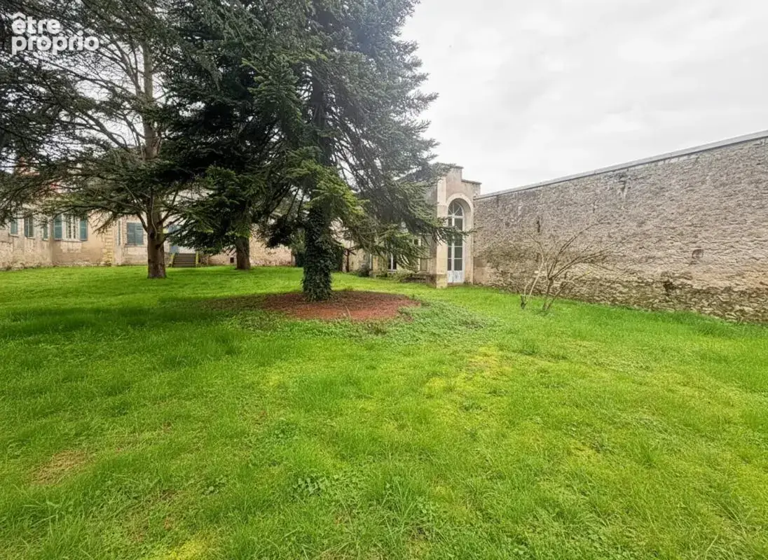 Majestueux Hôtel Particulier à Châtillon-sur-Indre - photo 4