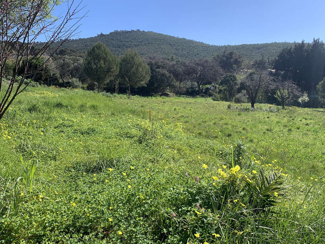 Terrain à LE PRADET