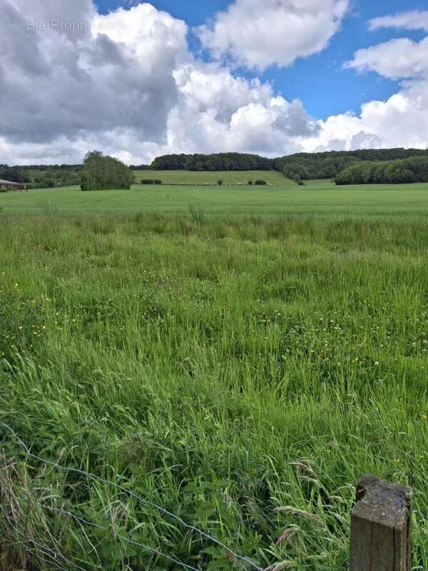 À vendre longère terrain 1,8 ha St-Malo-en-Donziois - photo 29