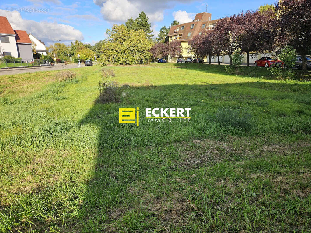 Terrain à MOLSHEIM