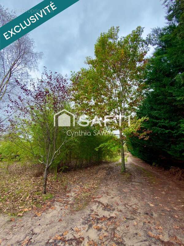 Photo 2 - Terrain à GUJAN-MESTRAS