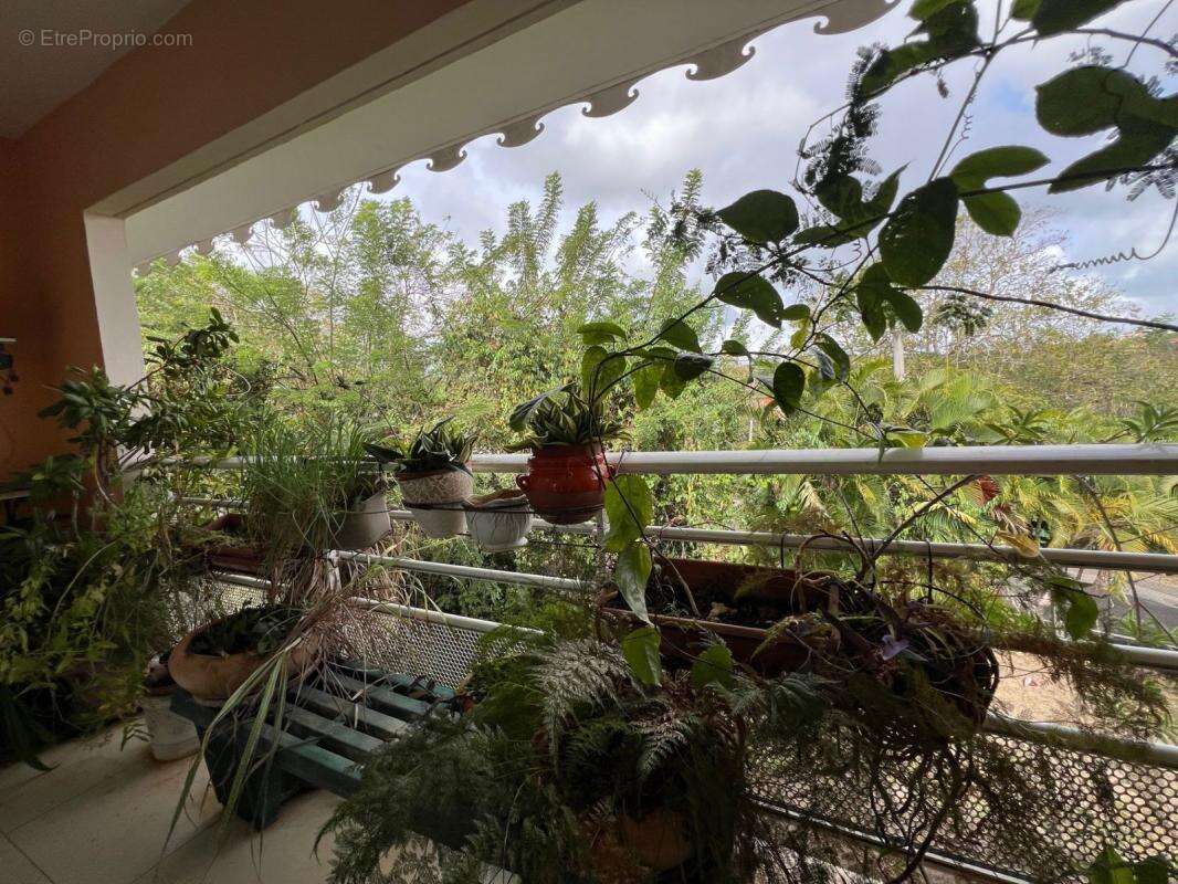 Appartement à SCHOELCHER