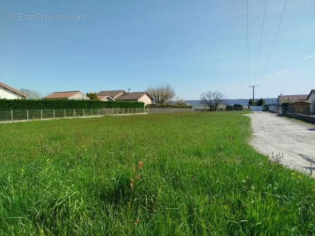 Terrain à BEAUREPAIRE