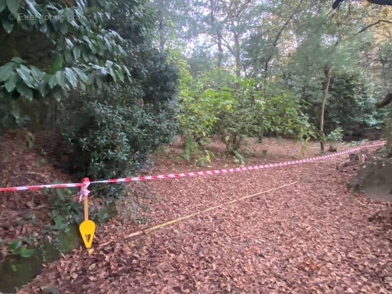 Terrain à SAINT-PIERRE-DU-MONT