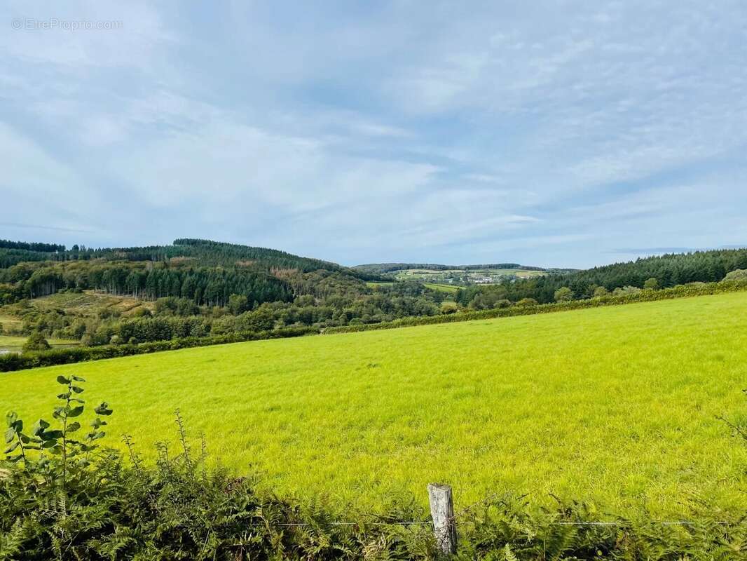 Maison à MONTSAUCHE-LES-SETTONS