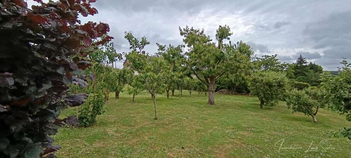Maison à SAINT-MARTIN-LE-NOEUD