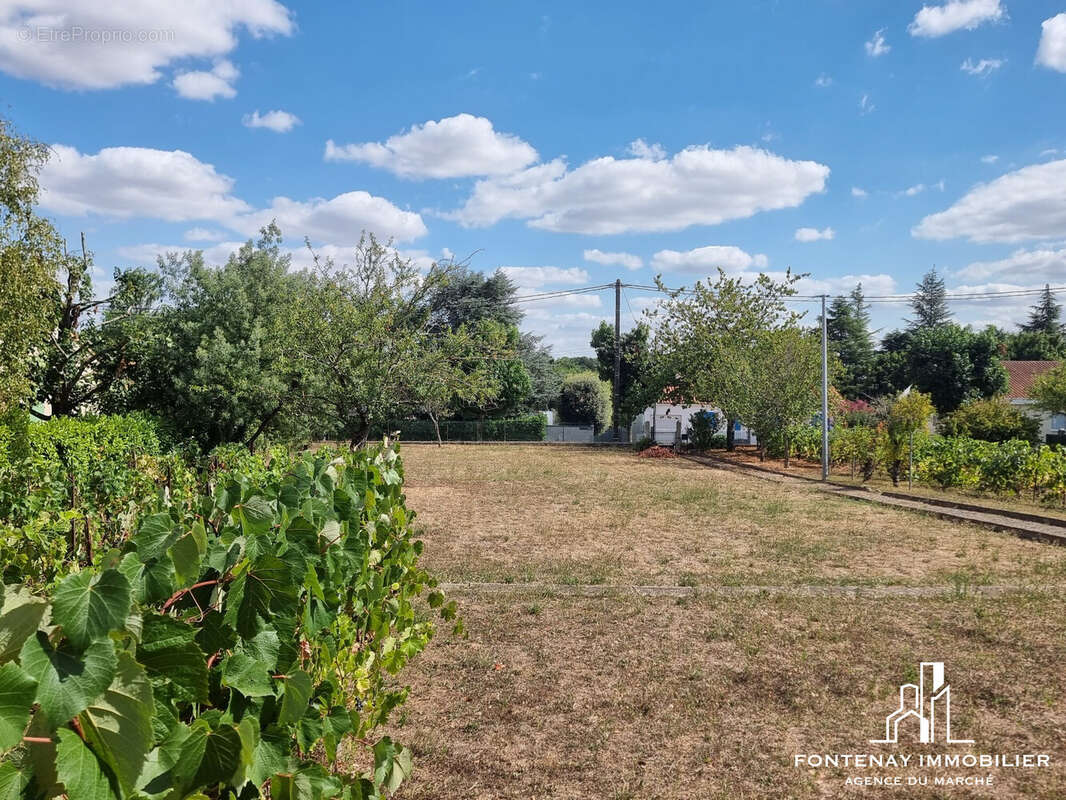 Maison à FONTENAY-LE-COMTE