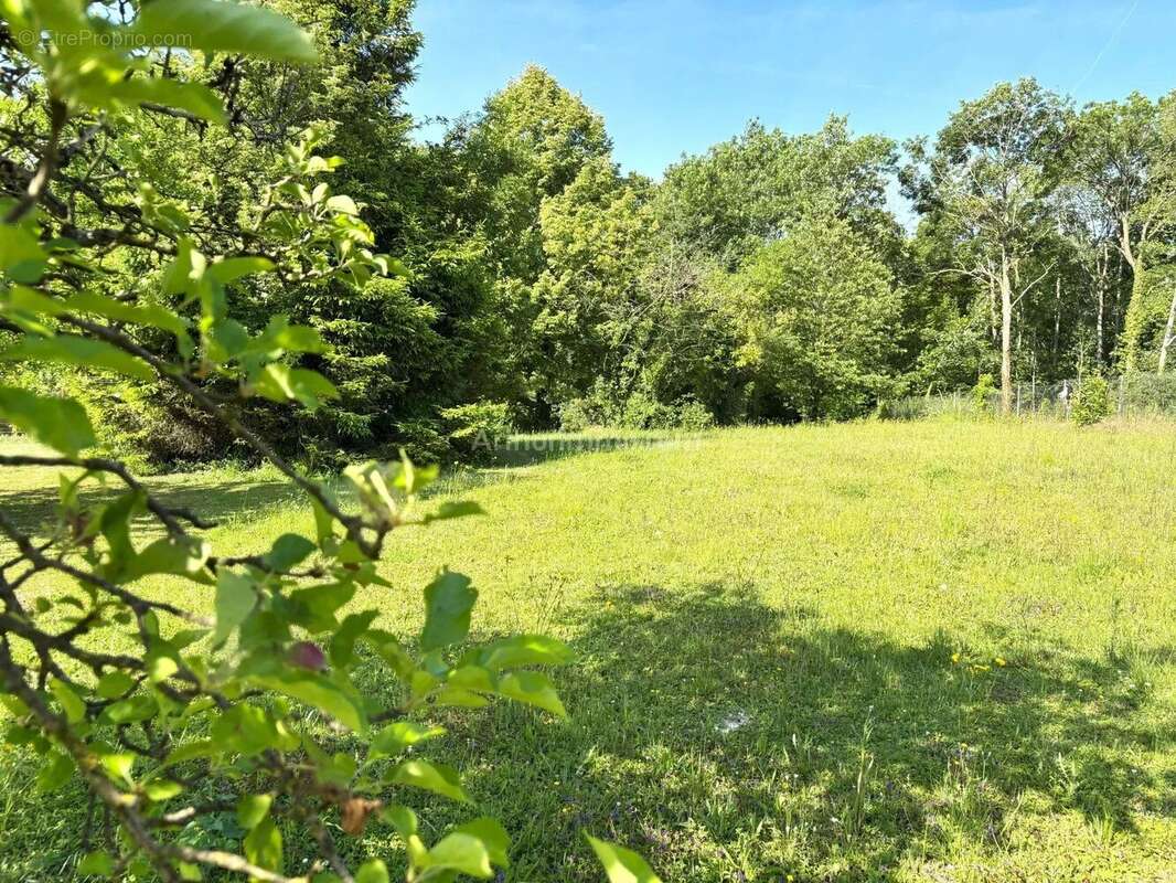 Terrain à CHALONS-EN-CHAMPAGNE