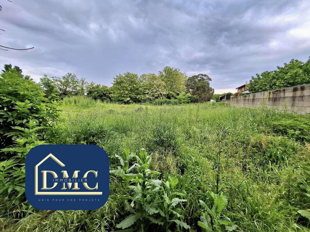 Commerce à AUTERIVE