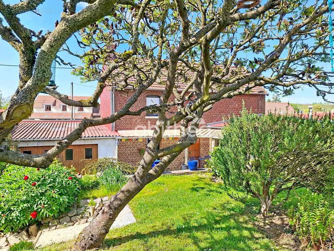 Maison à FONTAINE-LES-CROISILLES