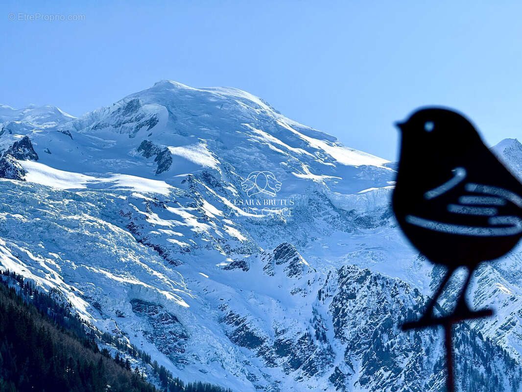 Appartement à CHAMONIX-MONT-BLANC